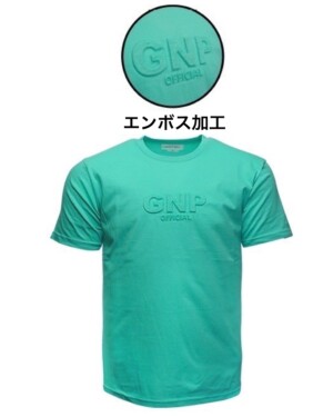 T13-MING  GARINPEIRO